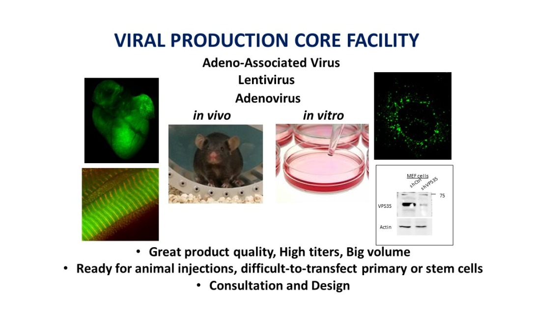 Viral Production Core info